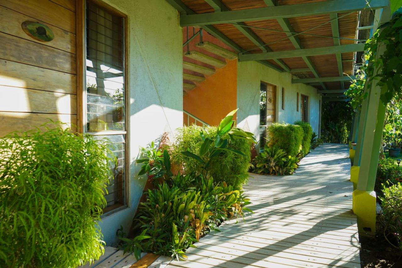 Hotel Sol Sámara מראה חיצוני תמונה